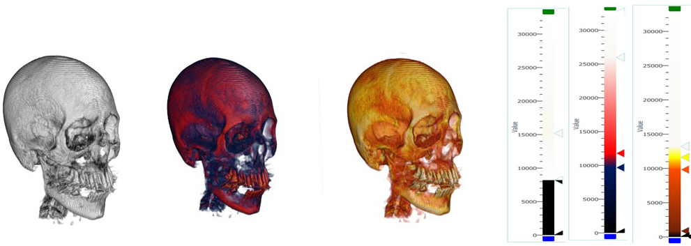ray_casting_color_map